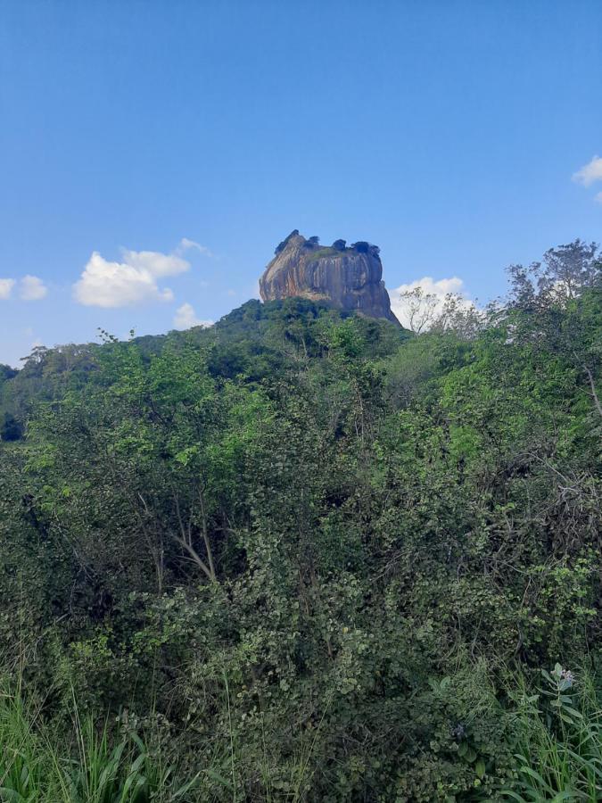 Hotel Chanara Sigiriya Buitenkant foto
